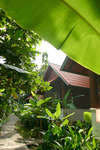 Peace Resort 